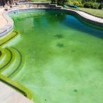 <strong>Why is My Pool Green and How Can I Save it?</strong>